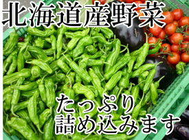 送料無料！冷蔵便込！北海道産四季のとれたて野菜詰め合わせセットお試し8種類入り