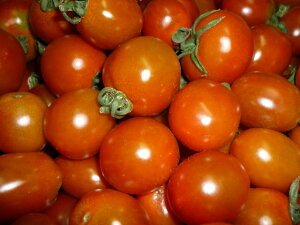 ミニトマト 1kgの人気商品 通販 価格比較 価格 Com