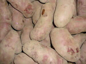 kCY󏭂ȂႪ 傫ȃm[Ur[2L`3LTCY2kg