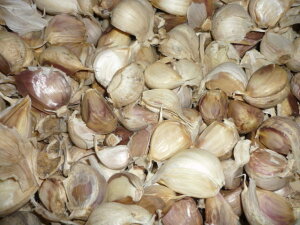  kCY AoAS݂̖󂠂 KiO ɂɂ Ղ@1kg