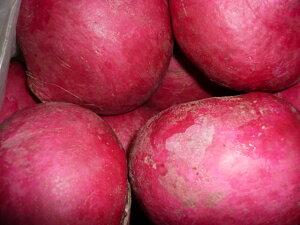 @Ԍ kCٓY Tc̐Ԃ M`LTCY5kg 疇ЂYȐԐFɐ܂܂