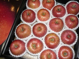 北海道産！送料無料！贈答用に！甘くて美味しい大玉サンふじりんご秀品 14〜18玉大玉入り（約5kg入り）