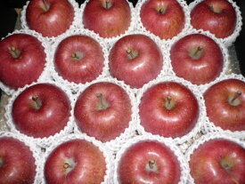 北海道産！送料無料！お歳暮や贈答用に！蜜たっぷり甘くて美味しい　大玉サンふじりんご特選品 14〜18玉大玉入り（約5kg入り）