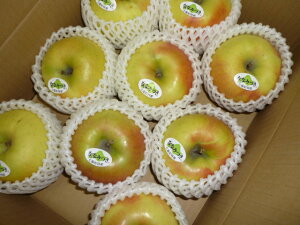 IIkCюY n菤iՂ肤܂Yʋɏ 󂠂ijȂȂ݂@8`15ʓi2.5kgj