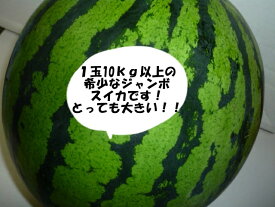 送料無料北海道産訳あり 大玉ジャンボスイカ6L以上1玉当たり10kg以上どでかすいか！