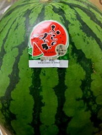 送料無料 北海道富良野産訳あり じゃんぼふらのすいか4Lサイズ以上でなんと1玉当たり8kg以上