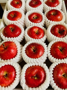 kCюY AΕɂ ՂMdȍiƂj12`15ʓi2.8kgj