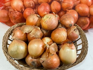 y󂠂iz kCYƏʂ˂MTCYՂ@20kg