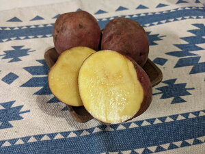 kCY󏭂ȂႪWKLbY2kg