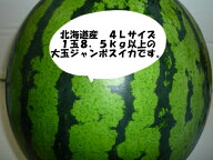 送料無料北海道産訳あり 大玉ジャンボスイカ（緑皮、黒皮）4L以上1玉当たり8.5kg以上ジャンボすいか！