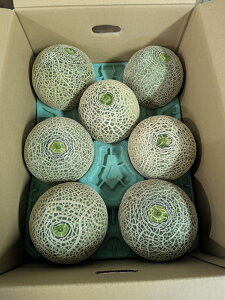 送料無料 訳ありだけど甘〜い 北海道産北海道内色々な産地から赤肉メロン 7〜9玉入り 約8kgの大箱