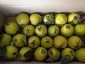 ݁@kCY@@}1@@10`20ʓi5kgj