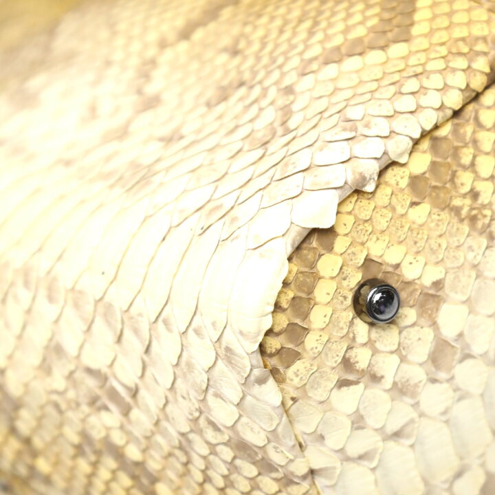 楽天市場】パイソン Python ハンドバッグ ダイヤモンドパイソン トート 