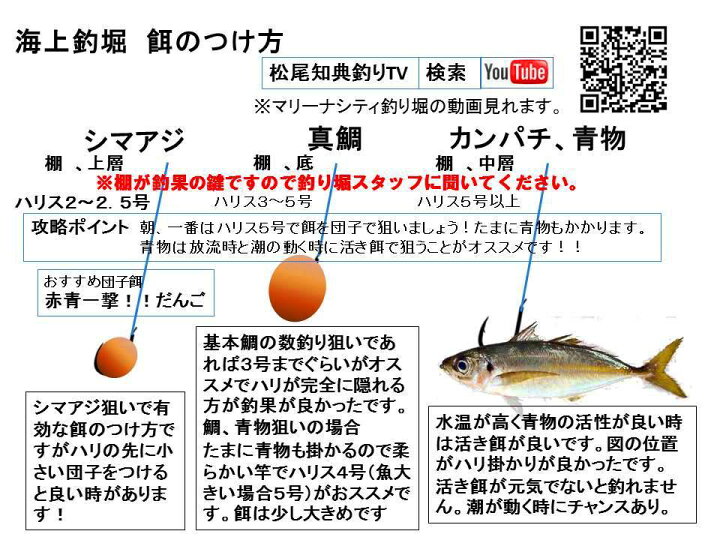楽天市場 釣堀船専用 釣り堀入門 Youtubeで仕掛けの作り方が分かる 後は餌だけ 青物対応海上釣堀ロッドリールセット 初心者オススメ 釣り堀セット このセットは確実に仕留めれます Mto