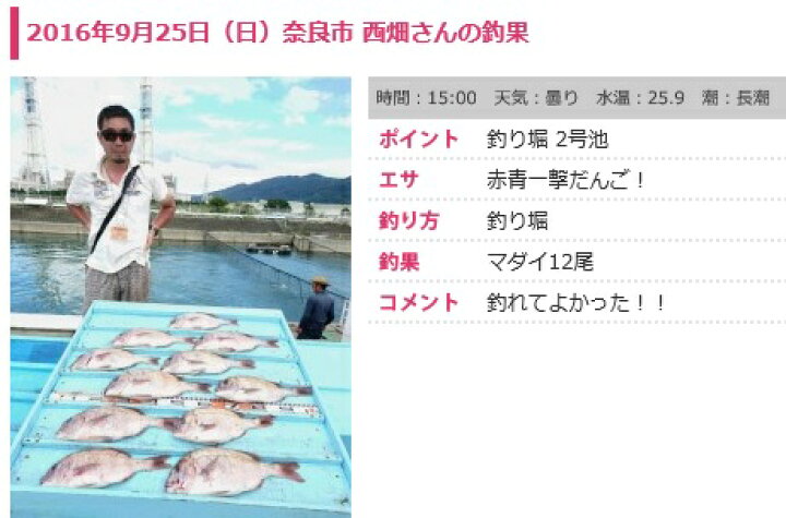 楽天市場 釣り餌 つりえさ 赤青一撃 だんご 釣り堀 最強餌 鯛 シマアジ カンパチ ハマチ メジロ ワラサ マルゴ ブリ グレ 青物 爆釣 赤青一撃だんごエサ 釣れる 釣りエサ 海上釣堀 餌 釣りエサ 釣り堀 Light 釣り餌最強 天然にも有効 Mto 楽天市場 釣り餌 つりえさ 赤青一撃 だんご 釣り堀 最強餌 鯛 シマアジ カンパチ ハマチ メジロ ワラサ マルゴ ブリ グレ 青物 爆釣 赤青一撃だんごエサ 釣れる 釣りエサ 海上釣堀 餌 釣りエサ 釣り堀 Light 釣り餌最強 天然にも有効 Mto