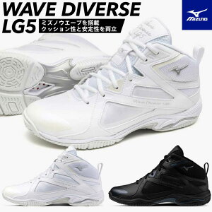  tBbglXV[Y ~Ym EG[u_Co[XLG5 31GF2571  _炩 ~XmGiW[