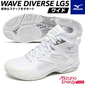  tBbglXV[Y ~Ym EG[u_Co[XLG5 Ch 31GF2572  _炩 ~XmGiW[