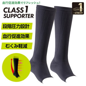 y[։zӂ͂{pT|[^[ 2 { ʈË@NX1 C2JS8103 eXgbLO ~Ym si