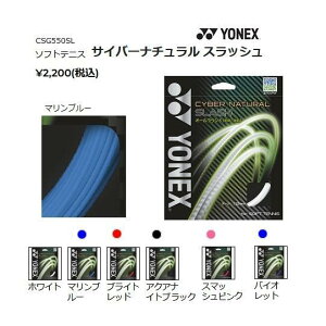 y[։zlbNX TCo[i` XbV CSG550SL ejXKbg