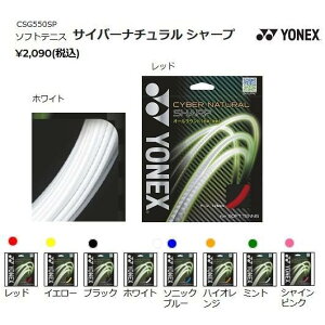 y[։zlbNX TCo[i` V[v CSG550SP ejXKbg