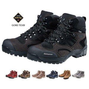 Lo C1-02S SAebNX gbLOV[Y 0010106 xmoR ㍂n  v