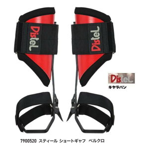 fBXe NC~OXpCN 7900520 ؂̔ ؓo c[NC~O c[XpCN