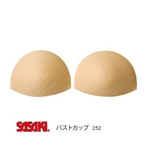 y[։zTTL V̑ oXgJbv 252