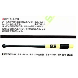 VAvC cłobg SBTWTS100 84cmA890gO g[jOobg