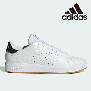 AfB_X ADVANCOURT BASE 2.0 U × Xj[J[ Y fB[X JP7944