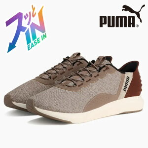 v[} N[Y C[YC Y fB[X L Xj[J[ Xb| 31199703 ܂܃XbƗ 311997