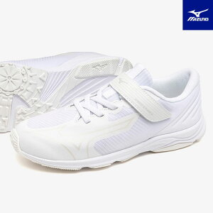 WjAV[Y Xj[J[ jq q Xs[hX^bY4 xg ~Ym K1GC2424 ʊw qC