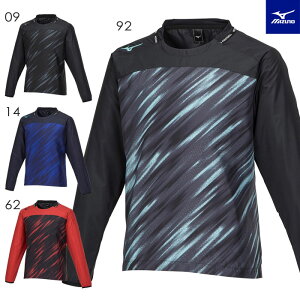 y[։z~Ym TbJ[ sXeVc Y WjA P2MEA020 g[jOEGA