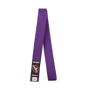 [PRICE DOWN]@HAYABUSAmnuTn _p ij@^@iZ {NVO LbN{NVO uWA_p MMA BJJ   A0 A1 A2 A3 A4 p[v