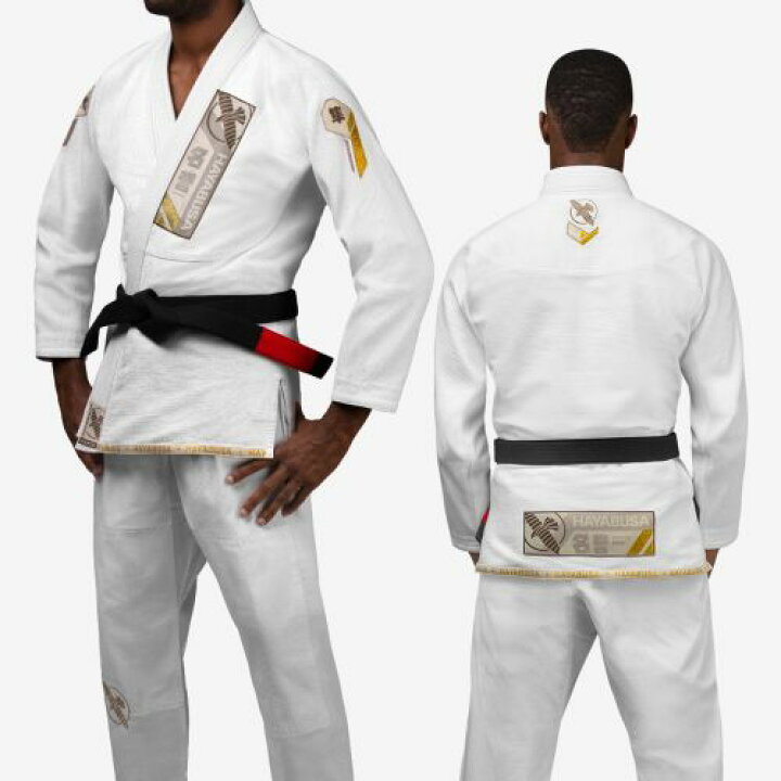 楽天市場】【取寄せ商品】 HAYABUSA［ハヤブサ］ アセンド ライト 
