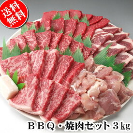 BBQ バーベキュー用肉セット3kg（約12〜15人前）国産牛肉 豚肉 鶏肉だけでセット。/（焼肉 焼き肉たれ3本のおまけつき）送料無料でお届け。【冷蔵】