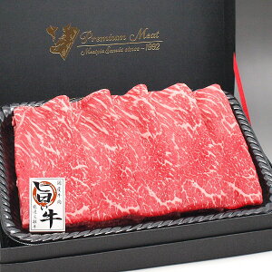  Mtg Y   Ă Ԃ 600g IE|  Ε Mtg v[g ϔ