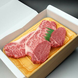 "" јãXe[LZbg/쌧YaEI[uT[C2q2̃ZbgyEkC/ʓrvz