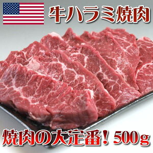y}Ⓚiz n~ ē 500g BBQ o[xL[ iAJY AEgTChXJ[gj