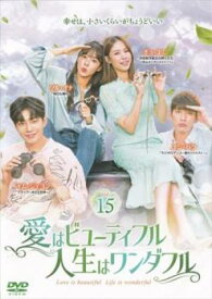 愛はビューティフル、人生はワンダフル 15(第29話、第30話)【韓国ドラマ DVD 中古】ケース無し レンタル落ち