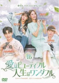 愛はビューティフル、人生はワンダフル 16(第31話、第32話)【韓国ドラマ DVD 中古】ケース無し レンタル落ち