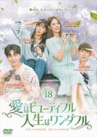 愛はビューティフル、人生はワンダフル 18(第35話、第36話)【韓国ドラマ DVD 中古】ケース無し レンタル落ち