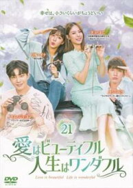愛はビューティフル、人生はワンダフル 21(第41話、第42話)【韓国ドラマ DVD 中古】ケース無し レンタル落ち