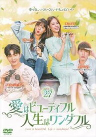 愛はビューティフル、人生はワンダフル 27(第53話、第54話)【韓国ドラマ DVD 中古】ケース無し レンタル落ち