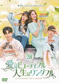 愛はビューティフル、人生はワンダフル 28(第55話、第56話)【韓国ドラマ DVD 中古】ケース無し レンタル落ち
