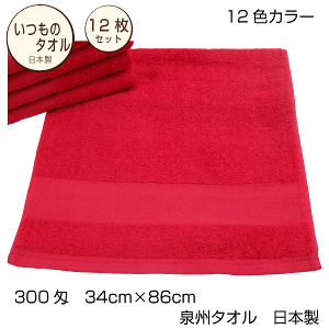 @̂@tFCX^I@܂Ƃߔ12Zbg@300@@nJ[12F@i`@g@piG݁@^I@ȁ@B@{@^ĨK[