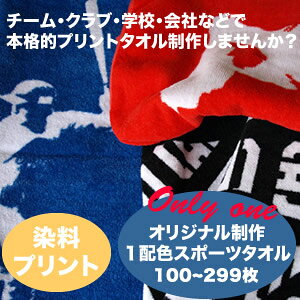 sFgtsꖇitIWiYvgX|[c^I100`299i{jLOi@^I@^I@^I쐬@Ajo[T[@A[eBXgObY@