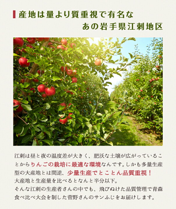 楽天市場 蜜入りサンふじ 優品 ご家庭用 2 7kg 6玉 12玉 菅野農園 岩手 江刺 お歳暮 りんご 送料無料 ちょっと訳あり 農家のお店 めぐり菜