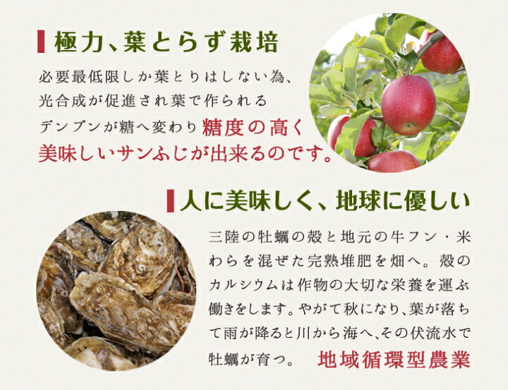 楽天市場 蜜入りサンふじ 優品 ご家庭用 2 7kg 6玉 12玉 菅野農園 岩手 江刺 お歳暮 りんご 送料無料 ちょっと訳あり 農家のお店 めぐり菜