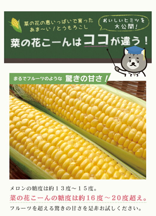 楽天市場】とうもろこし 極甘品種おおもの 生で食べられる 菜の花こー 