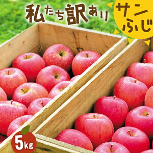  󂠂Tӂ 5kg  11ʁ`23ʁ@ь ƒp   n